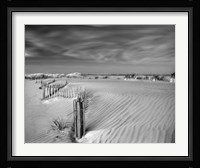 Anglesea Moire Fine Art Print
