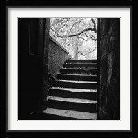 Chenonceaux Fine Art Print