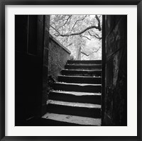 Chenonceaux Framed Print