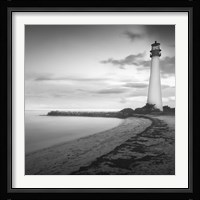 Searching Fine Art Print