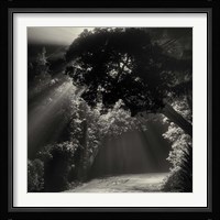 What We Say When We're Falling Fine Art Print