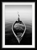 Canoe And A Heron Fine Art Print