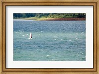 Wind surfer in a lake, Arenal Lake, Guanacaste, Costa Rica Fine Art Print