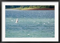 Wind surfer in a lake, Arenal Lake, Guanacaste, Costa Rica Fine Art Print
