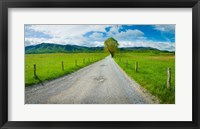 Country gravel road passing through a field, Hyatt Lane, Cades Cove, Great Smoky Mountains National Park, Tennessee Fine Art Print