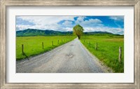 Country gravel road passing through a field, Hyatt Lane, Cades Cove, Great Smoky Mountains National Park, Tennessee Fine Art Print