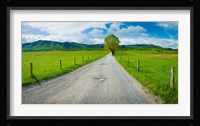 Country gravel road passing through a field, Hyatt Lane, Cades Cove, Great Smoky Mountains National Park, Tennessee Fine Art Print
