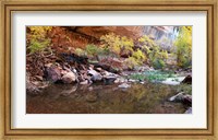 Reflecting pond in Zion National Park, Springdale, Utah, USA Fine Art Print