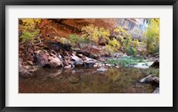 Reflecting pond in Zion National Park, Springdale, Utah, USA Fine Art Print
