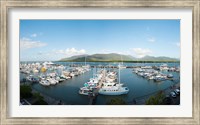 Boats at a marina, Shangri-La Hotel, Cairns, Queensland, Australia Fine Art Print