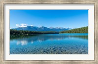 Patricia Lake with mountains in the background, Jasper National Park, Alberta, Canada Fine Art Print