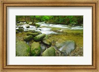 Stream following through a forest, Little River, Great Smoky Mountains National Park, Tennessee, USA Fine Art Print