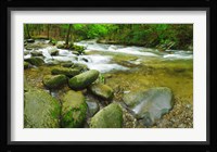 Stream following through a forest, Little River, Great Smoky Mountains National Park, Tennessee, USA Fine Art Print