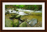 Stream following through a forest, Little River, Great Smoky Mountains National Park, Tennessee, USA Fine Art Print