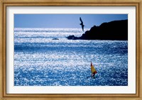 Windsurfer in the sea, Sint Maarten, Netherlands Antilles Fine Art Print