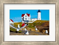 Seagulls at Nubble Lighthouse, Cape Neddick, York, Maine, USA Fine Art Print