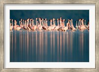 Flamingo Reflections in a lake, Lake Nakuru, Lake Nakuru National Park, Kenya Fine Art Print