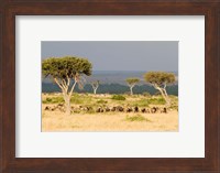 Masai Mara National Reserve, Kenya Fine Art Print