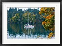 Sailboats in a lake, Washington State, USA Fine Art Print