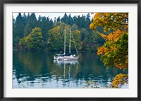 Sailboats in a lake, Washington State, USA Fine Art Print