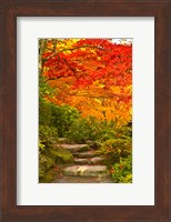 Stone steps in a forest in autumn, Washington State, USA Fine Art Print
