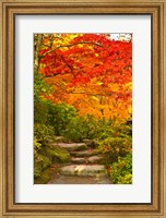 Stone steps in a forest in autumn, Washington State, USA Fine Art Print