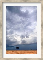 Two trees on a landscape, Masai Mara National Reserve, Kenya Fine Art Print