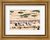 Wildebeests with African elephants (Loxodonta africana) in a field, Masai Mara National Reserve, Kenya Fine Art Print