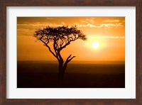 Silhouette of tree at dusk, Tanzania Fine Art Print