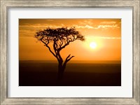 Silhouette of tree at dusk, Tanzania Fine Art Print