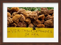 Natural sponges for sale in a market, Lourmarin, Vaucluse, Provence-Alpes-Cote d'Azur, France Fine Art Print