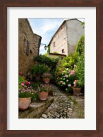 Flowers pots on street, Lacoste, Vaucluse, Provence-Alpes-Cote d'Azur, France Fine Art Print