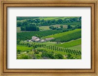 Farmhouse in a field, Lacoste, Vaucluse, Provence-Alpes-Cote d'Azur, France Fine Art Print