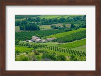 Farmhouse in a field, Lacoste, Vaucluse, Provence-Alpes-Cote d'Azur, France Fine Art Print