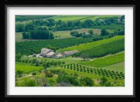 Farmhouse in a field, Lacoste, Vaucluse, Provence-Alpes-Cote d'Azur, France Fine Art Print