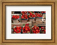 Strawberries for sale at weekly market, Arles, Bouches-Du-Rhone, Provence-Alpes-Cote d'Azur, France Fine Art Print