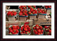 Strawberries for sale at weekly market, Arles, Bouches-Du-Rhone, Provence-Alpes-Cote d'Azur, France Fine Art Print