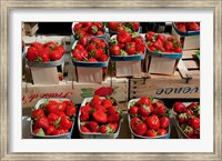 Strawberries for sale at weekly market, Arles, Bouches-Du-Rhone, Provence-Alpes-Cote d'Azur, France Fine Art Print