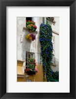Building with flower pots on each window, Rue Des Arenes, Arles, Bouches-Du-Rhone, Provence-Alpes-Cote d'Azur, France Fine Art Print