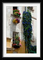 Building with flower pots on each window, Rue Des Arenes, Arles, Bouches-Du-Rhone, Provence-Alpes-Cote d'Azur, France Fine Art Print