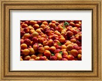 Nectarines for sale at weekly market, St.-Remy-de-Provence, Bouches-Du-Rhone, Provence-Alpes-Cote d'Azur, France Fine Art Print