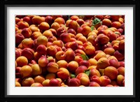 Nectarines for sale at weekly market, St.-Remy-de-Provence, Bouches-Du-Rhone, Provence-Alpes-Cote d'Azur, France Fine Art Print