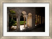 Cloister of ancient Monastere Saint-Paul-De-Mausole, St.-Remy-De-Provence, Bouches-Du-Rhone, Provence-Alpes-Cote d'Azur, France Fine Art Print