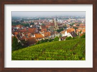 City viewed from vineyard, Esslingen-Am-Neckar, Baden-Wurttemberg, Germany Fine Art Print