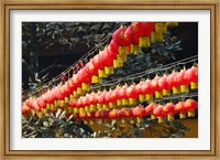 Red lanterns at a temple, Jade Buddha Temple, Shanghai, China Fine Art Print