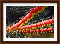 Red lanterns at a temple, Jade Buddha Temple, Shanghai, China Fine Art Print