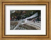 People feeding the gulls in a park, Green Lake Park, Kunming, Yunnan Province, China Fine Art Print