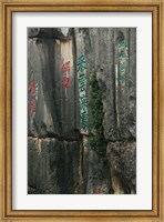 The Stone Forest, Shilin, Kunming, Yunnan Province, China Fine Art Print