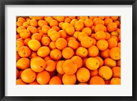 Close-up of oranges, Santa Paula, Ventura County, California, USA Fine Art Print