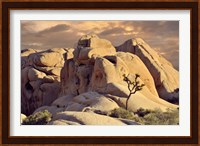 Rock formations and Joshua tree at Joshua Tree National Park, California, USA Fine Art Print